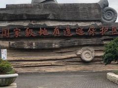 -金钉子远古世界景区
