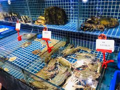 水产区-必点海鲜·鲅鱼水饺(鞍山西道店)