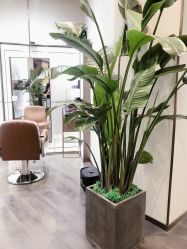 -崇尚GAVIN STYLE臻选