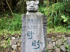 -都江堰中华大熊猫苑