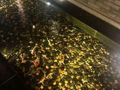 -晶采轩(虹桥路店)