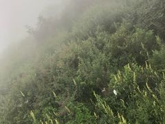 -野三坡百草畔景区