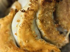 -周震馄饨