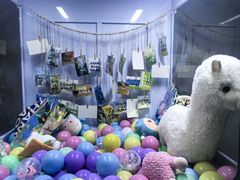 -涨巢·潮玩水疗局