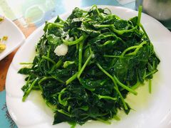 炒豌豆尖-泸沽肴(泸沽湖大洛水村农村信用社旁店)