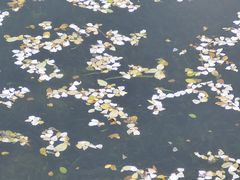 -尚贤河湿地