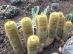 -南山植物园