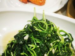-丁老爷子苏香圆
