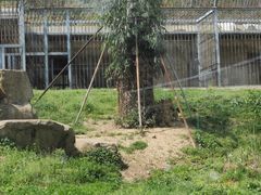 -苏州上方山国家森林公园