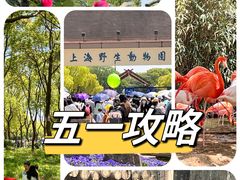 -上海野生动物园
