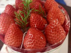 -Dark Horse·黑马蛋糕·低脂·低糖淡奶(金匙望湖大厦店)