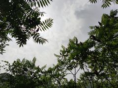 -云岫谷自然风景区