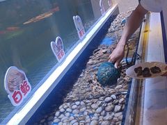 -聚盛源蒸汽海鲜火锅烤肉自助(巨川金海岸购物广场店)