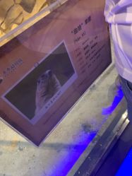 -未来动物城动物主题公园(大悦城店)