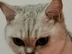 -派特宠物医院(圆融广场店)