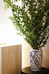 点击看大图 -栖SPA·ONDA ·美芙炫·海菲秀科技美肤中心