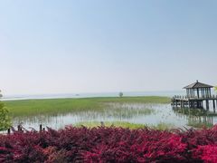-苏州太湖湖滨国家湿地公园