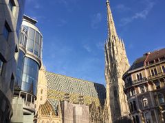-斯蒂芬主教座堂(Stephansdom)
