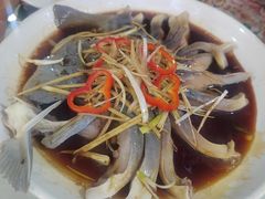 -煲来饱去冷水鱼