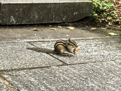 -汤旺河林海奇石景区