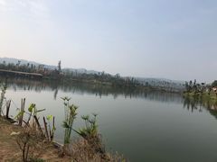 -枫香湖儿童公园