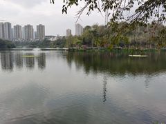-重庆彩云湖湿地公园