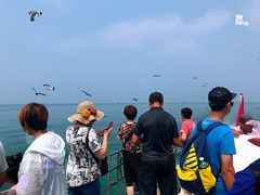 -海驴岛(荣成市)