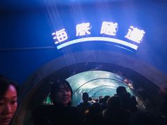 -洛阳龙门海洋馆