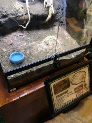 -酷嗒动物文化乐园(cutezoo西溪乐天城店)