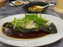 -富来美食