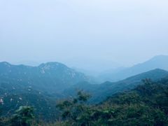 -大岭沟猕猴桃谷风景区