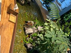 -森味薪火烧•烧鸟居酒屋•日本料理(望京店)