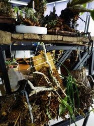 -周忆刺青原创设计定制