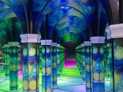 -天津梵高星空艺术馆(天河城旗舰店)