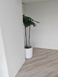 -HEYAN荷妍专业脱毛连锁机构