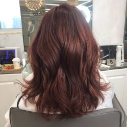 -潘多拉Hairsalon