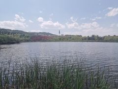 -玉舍国家森林公园