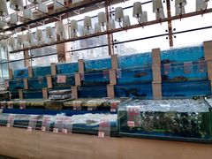 水产区-东方之珠海鲜酒楼(南开店)