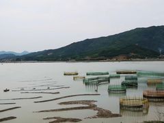 -北岐滩涂