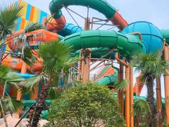 -杭州开元森泊度假乐园