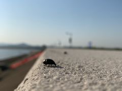 -横山水库