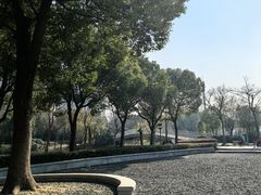 -南翔镇银翔湖公园
