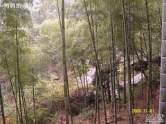 -山沟沟景区