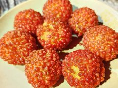 -渝味晓宇火锅(枇杷山正街店)