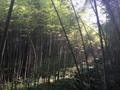 -公盂村