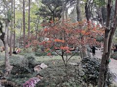 -汇龙潭