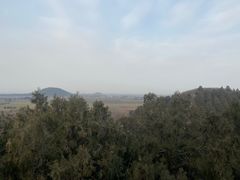 -茂陵博物馆