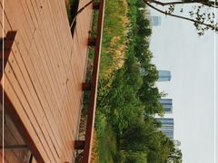 -桂溪生态公园
