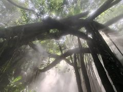 -青青世界