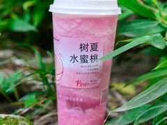 -树夏(锦里店)